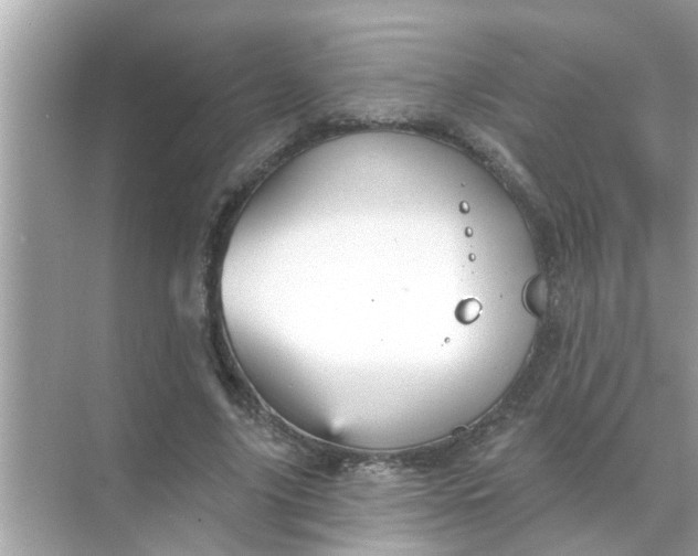 X0000070860635200606302047