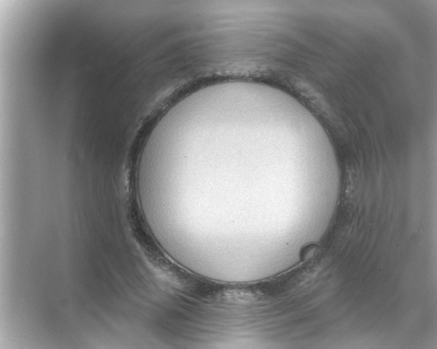 X0000070860636200606302047