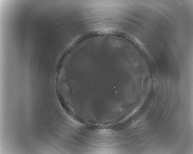 X0000070860637200606302047