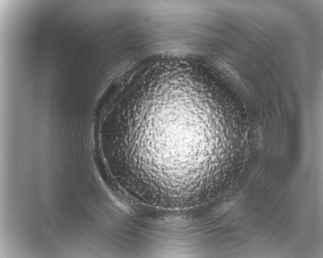 X0000070860638200606302047