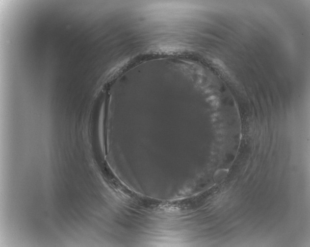 X0000070860640200606302047