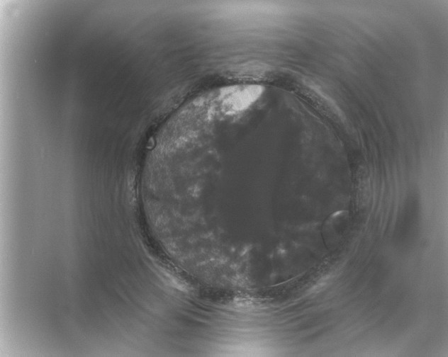 X0000070860641200606302047