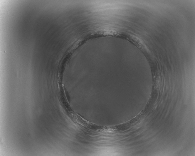 X0000070860643200606302047