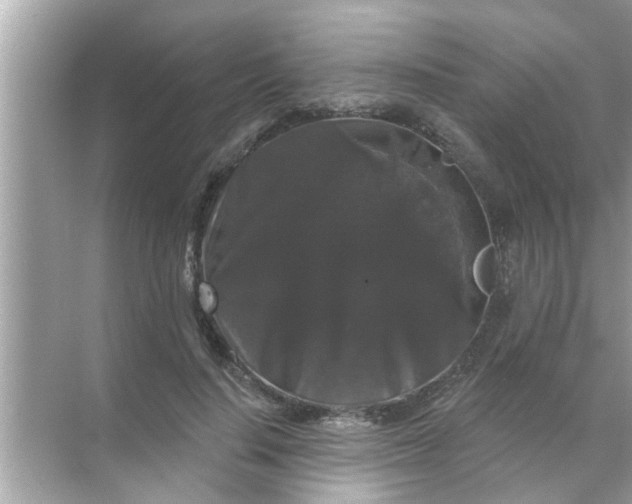 X0000070860644200606302047