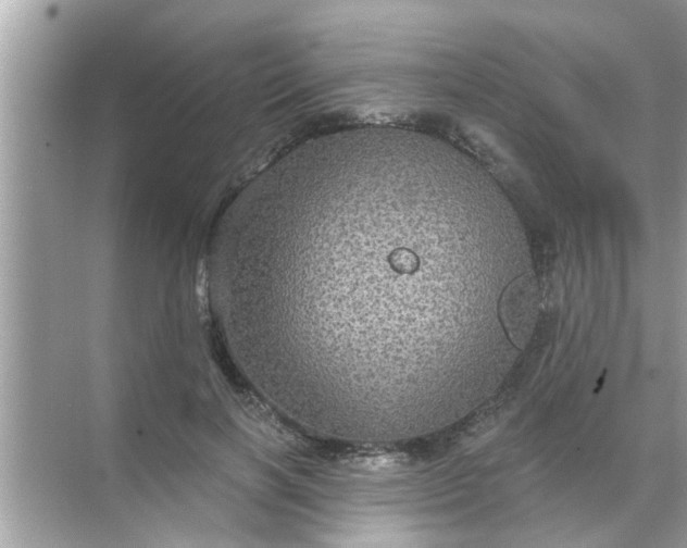 X0000070860646200606302047