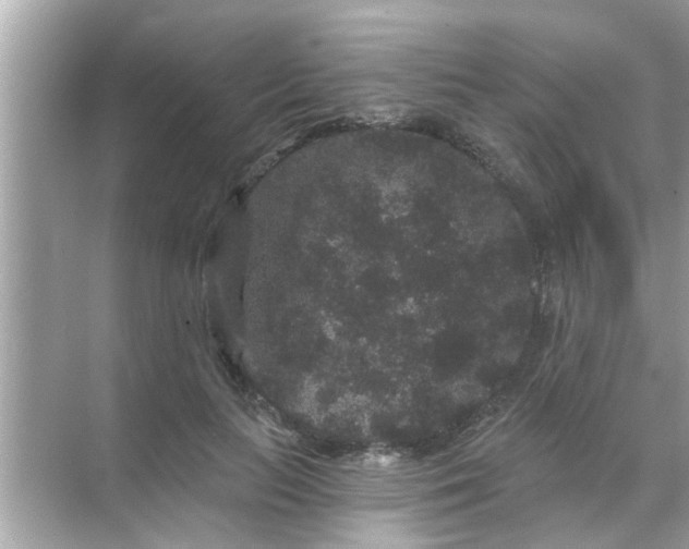 X0000070860647200606302047