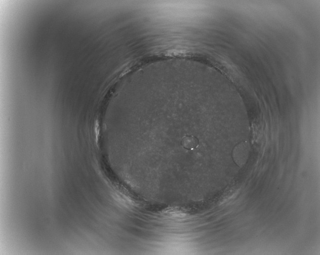 X0000070860648200606302047