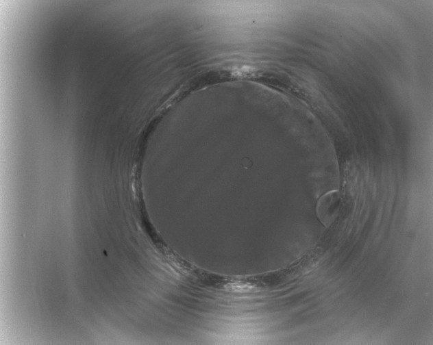 X0000070860650200606302047