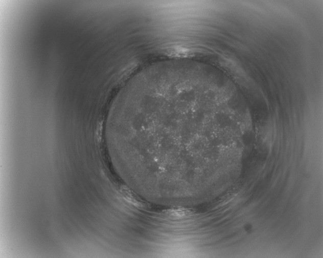 X0000070860652200606302047