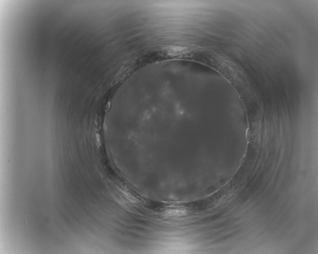 X0000070860653200606302047