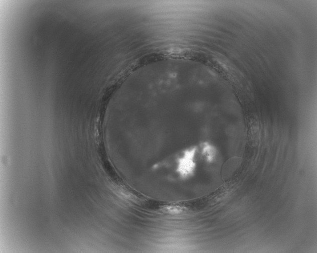 X0000070860654200606302047