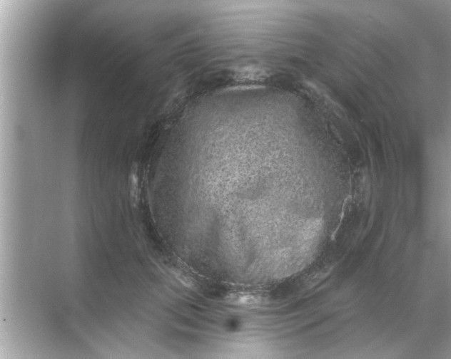 X0000070860655200606302047