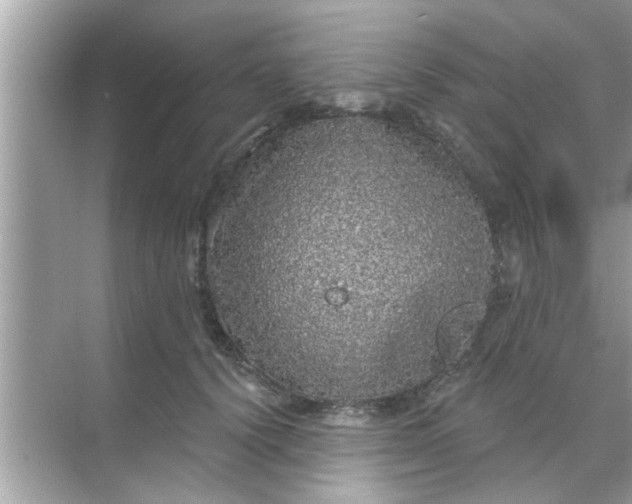 X0000070860656200606302047