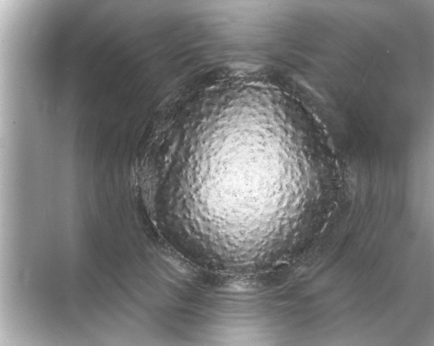 X0000070860657200606302047