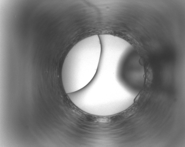 X0000070860659200606302047