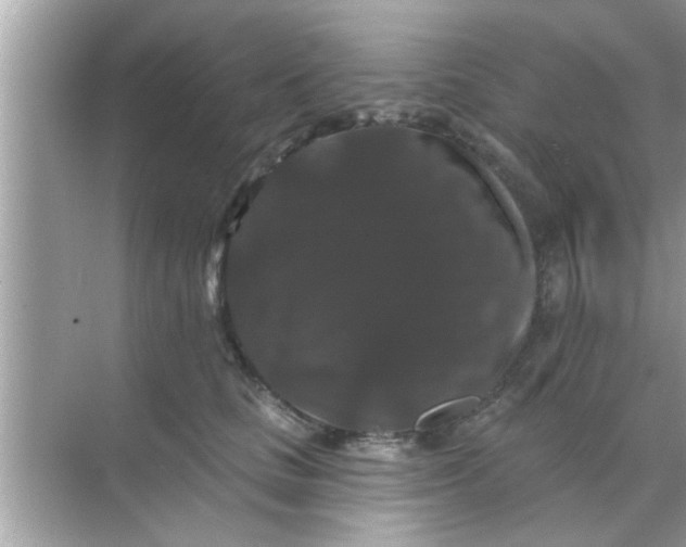 X0000070860661200606302047