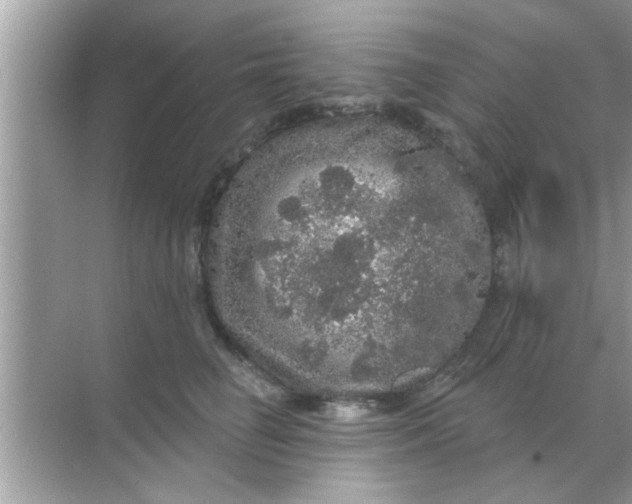 X0000070860662200606302047