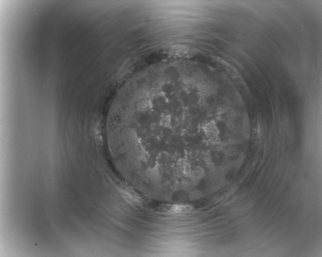 X0000070860663200606302047