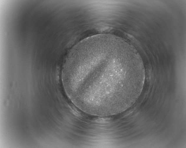 X0000070860664200606302047