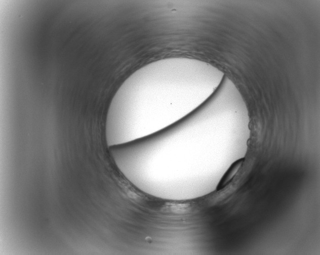 X0000070860665200606302047