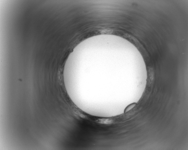 X0000070860667200606302047