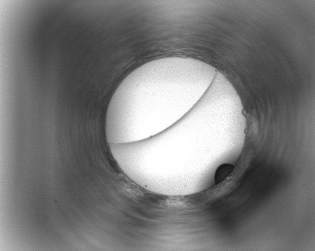 X0000070860668200606302047