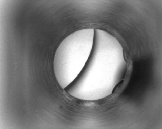 X0000070860669200606302047