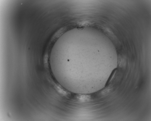 X0000070860670200606302047