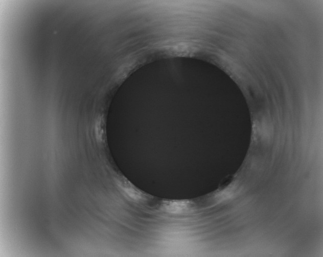 X0000070860671200606302047