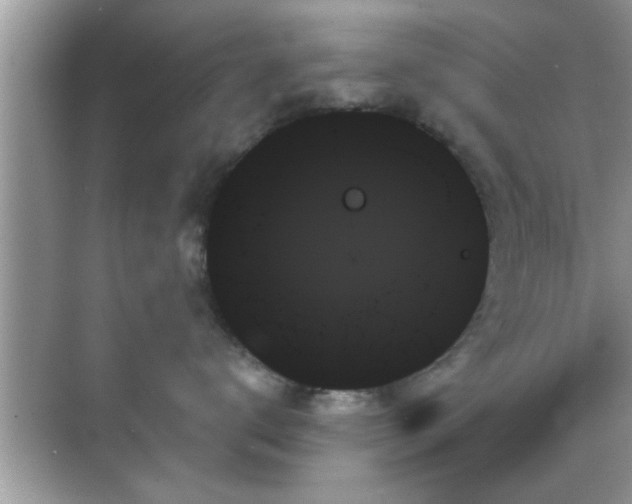 X0000070860672200606302047