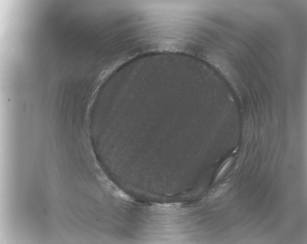 X0000070860673200606302046