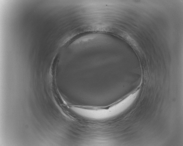 X0000070860674200606302046