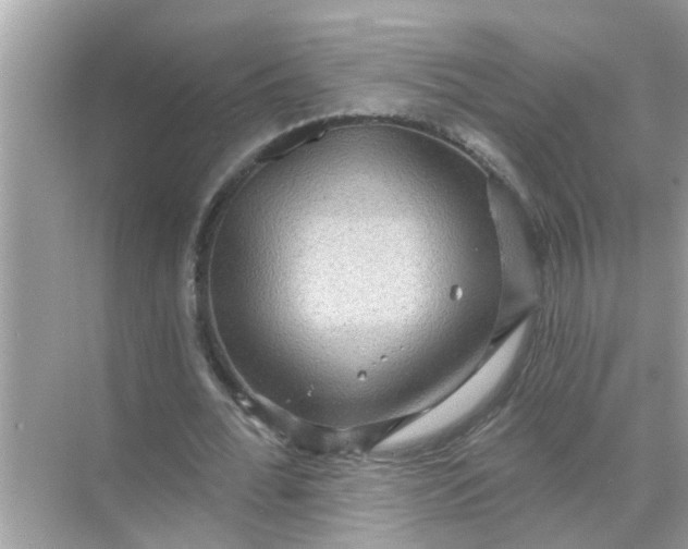 X0000070860676200606302046