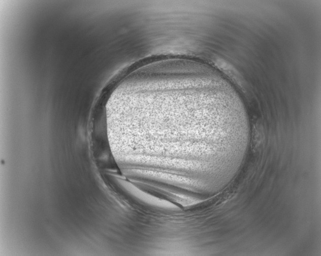 X0000070860680200606302046