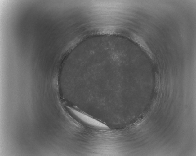 X0000070860681200606302046