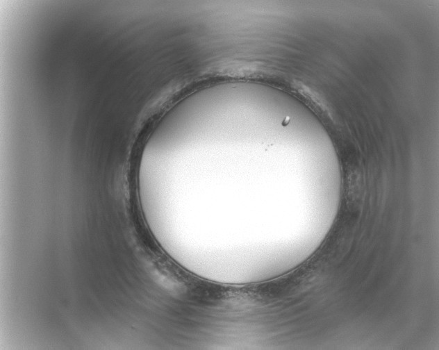 X0000070860682200606302046