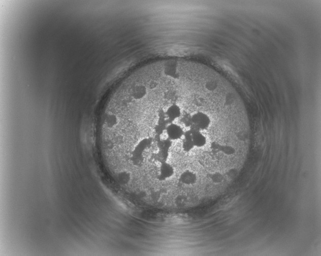 X0000070860683200606302046