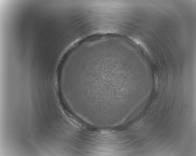 X0000070860684200606302046