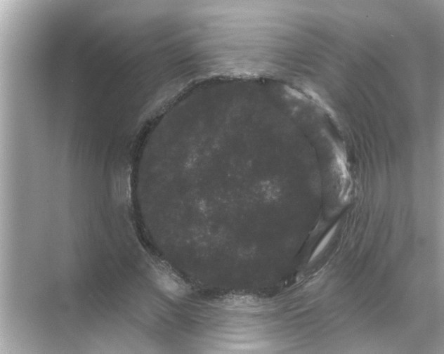 X0000070860685200606302046