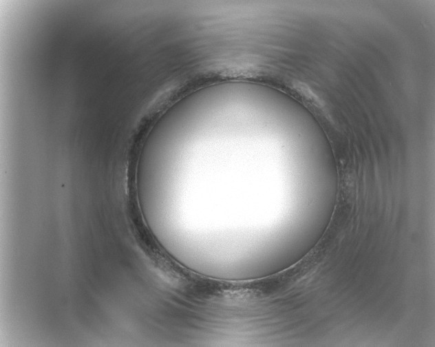 X0000070860686200606302046