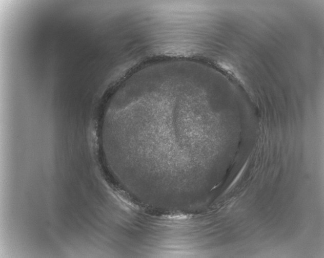 X0000070860688200606302046