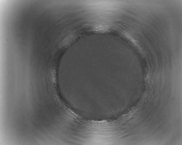 X0000070860689200606302046