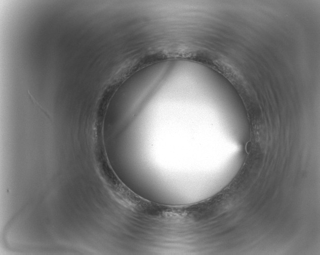 X0000070860690200606302046