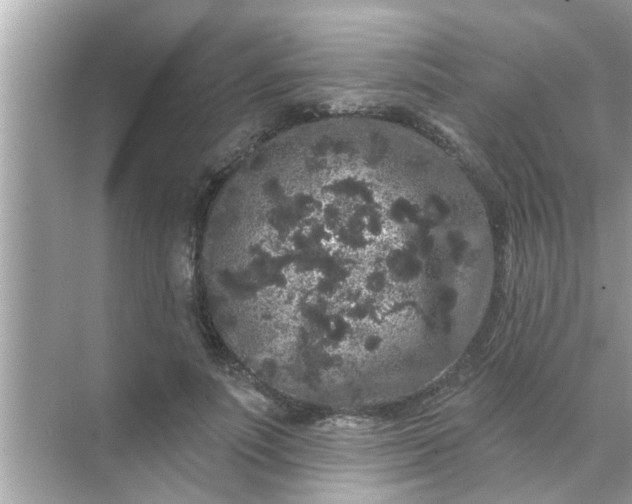 X0000070860691200606302046