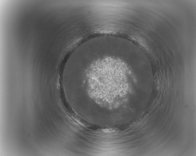 X0000070860692200606302046