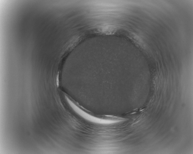 X0000070860693200606302046