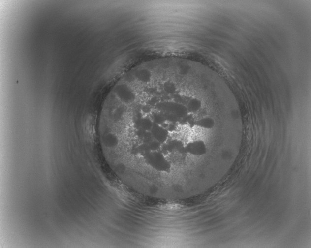 X0000070860695200606302046