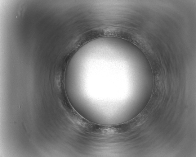 X0000070860698200606302046