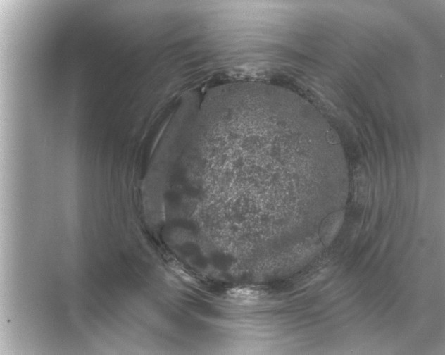 X0000070860699200606302046