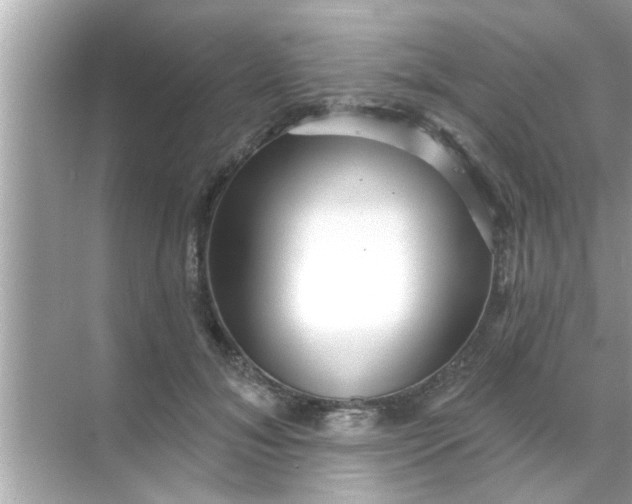 X0000070860700200606302046